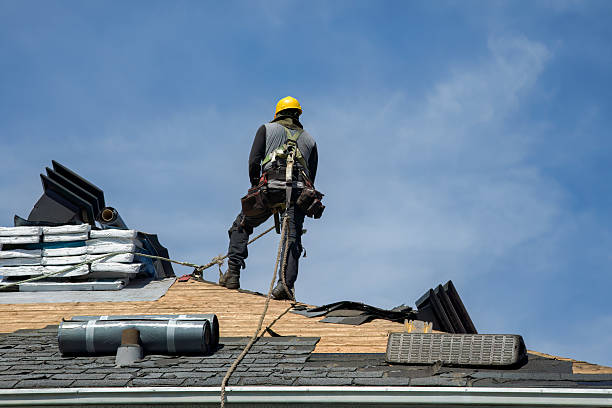 Professional Roofing technician working in Carlos, MN